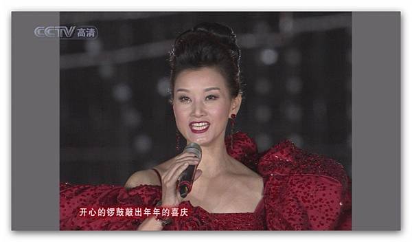 2009年慶祝中華人民共和國成立60周年聯歡晚會-011.jpg