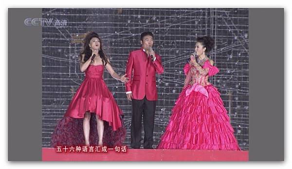 2009年慶祝中華人民共和國成立60周年聯歡晚會-020.jpg