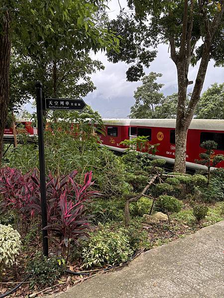 《苗栗❤️南庄》蘇維拉莊園餐廳介紹，視野超好超可愛的木造式氛