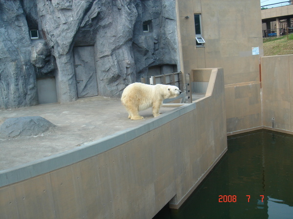 旭川動物園.JPG