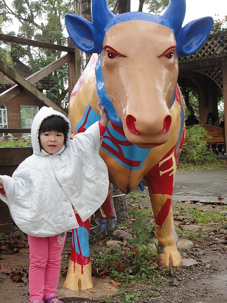 DSC03304.JPG