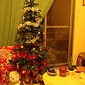 我們的聖誕樹!