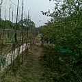 20090404_006.jpg