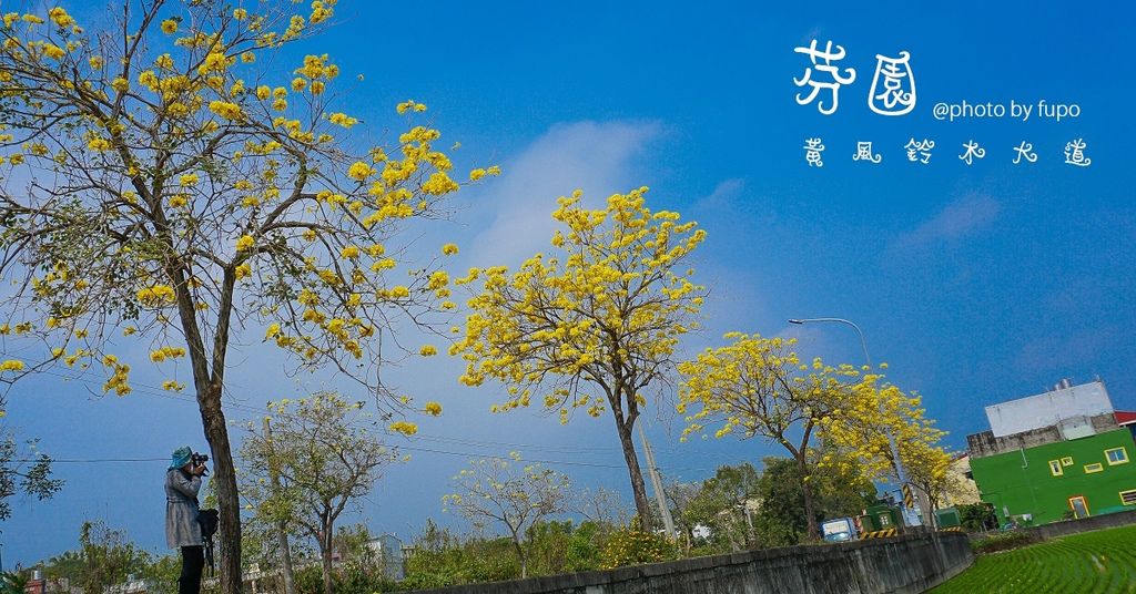 首圖318