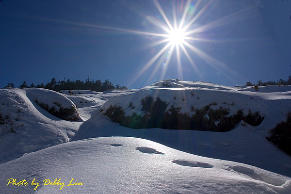 002_MG_2220_C2_松雪樓附近的雪景.JPG