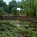 063_IMG_0810_Hanoi_Temple of Literature 河內文廟花園一角.JPG