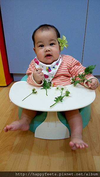 娃娃班（社會情緒）漂亮的花兒_2.jpg