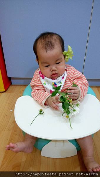 娃娃班（社會情緒）漂亮的花兒_6.jpg