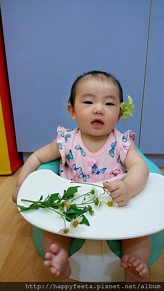 娃娃班（社會情緒）漂亮的花兒_8.jpg