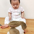 乳牛-跳跳兔子（感官知覺）_180814_0018.jpg