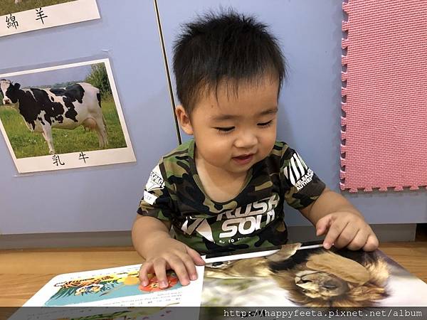 河馬。野生動物（觸覺書）_180822_0040.jpg