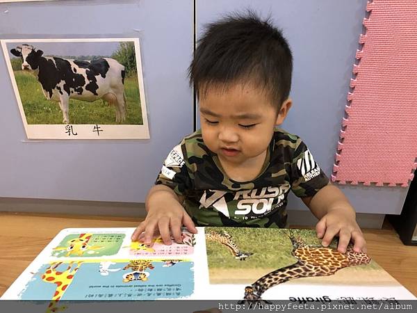 河馬。野生動物（觸覺書）_180822_0035.jpg