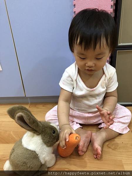 河馬。兔子&#128048;吃紅蘿蔔&#129365;_180823_0008.jpg