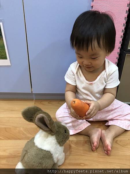 河馬。兔子&#128048;吃紅蘿蔔&#129365;_180823_0007.jpg