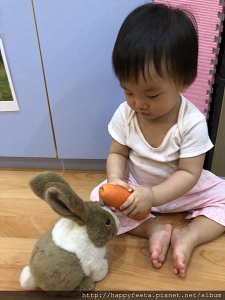 河馬。兔子&#128048;吃紅蘿蔔&#129365;_180823_0010.jpg