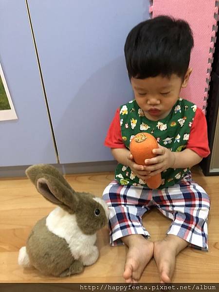 河馬。兔子&#128048;吃紅蘿蔔&#129365;_180823_0015.jpg