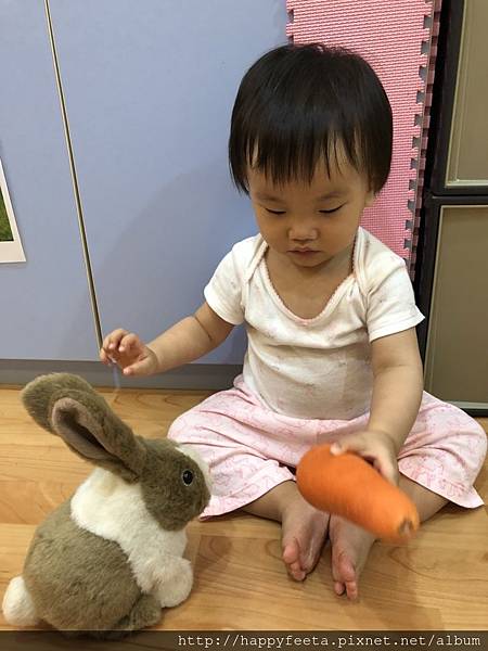 河馬。兔子&#128048;吃紅蘿蔔&#129365;_180823_0009.jpg