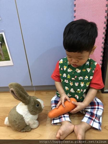 河馬。兔子&#128048;吃紅蘿蔔&#129365;_180823_0017.jpg