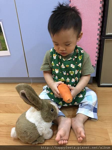 河馬。兔子🐰吃紅蘿蔔🥕_180823_0019.jpg