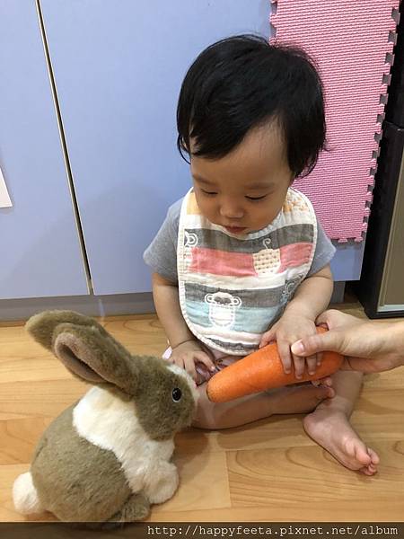 河馬。兔子&#128048;吃紅蘿蔔&#129365;_180823_0033.jpg