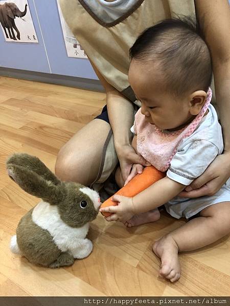 河馬。兔子🐰吃紅蘿蔔🥕_180823_0040.jpg