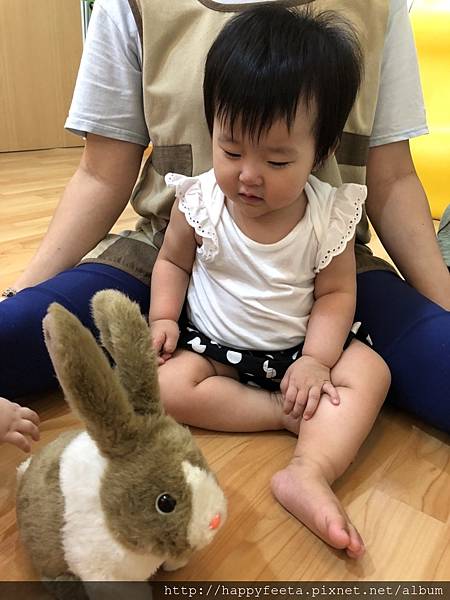 河馬。兔子🐰吃紅蘿蔔🥕_180823_0046.jpg