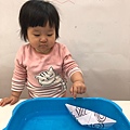 河馬。漂流的船兒_181218_0035.jpg