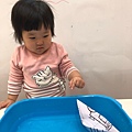 河馬。漂流的船兒_181218_0036.jpg