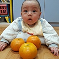 白🐰班~大吉大利🍊_190129_0005.jpg