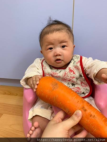 白🐰班～摸摸胡蘿蔔🥕_190513_0025.jpg