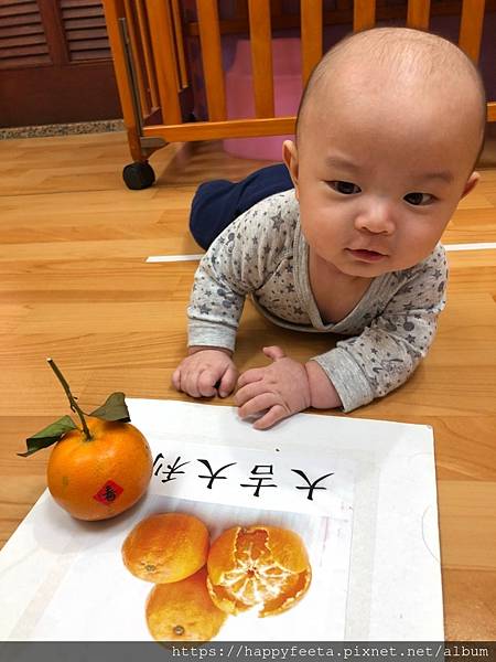 小🐷班～大🍊（吉）大利_200117_0002.jpg