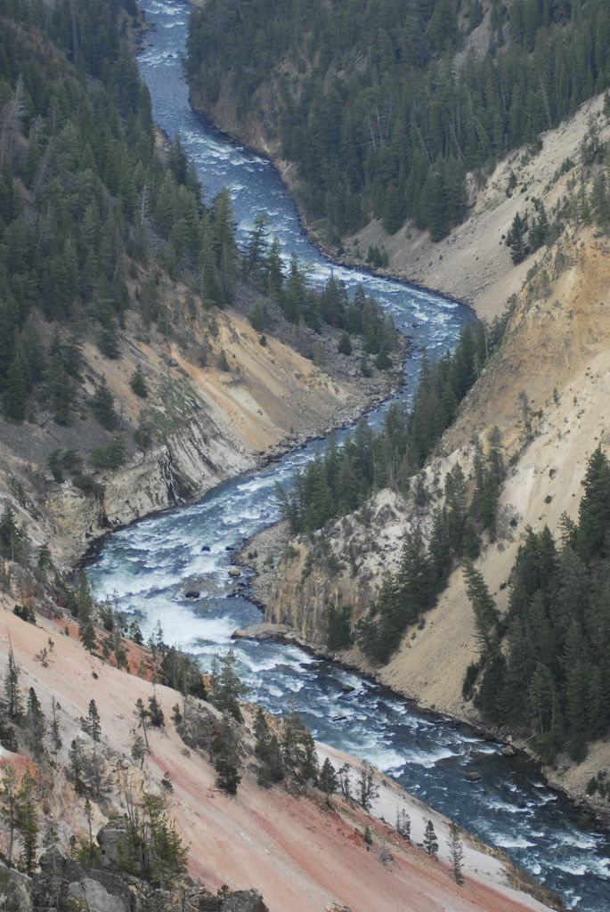 _DSC0002.JPG _DSC0002.JPG