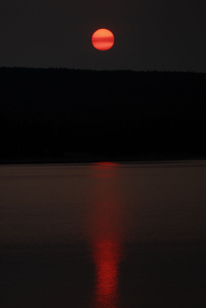 _DSC0027.JPG _DSC0027.JPG