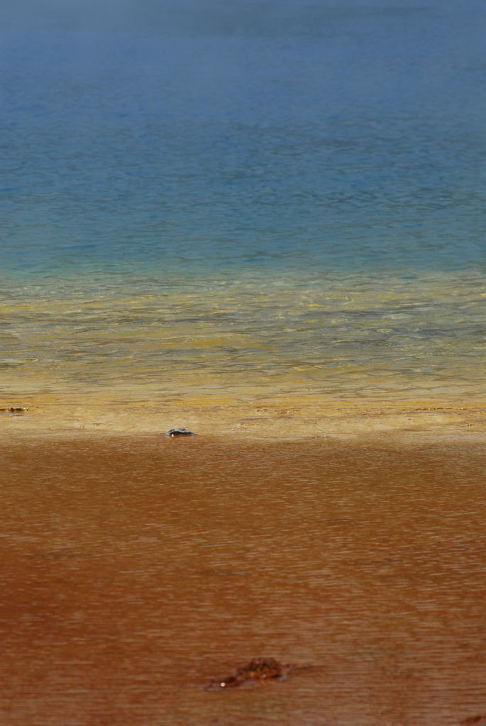 _DSC0008.JPG _DSC0008.JPG