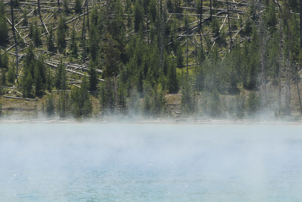 _DSC0012.JPG _DSC0012.JPG