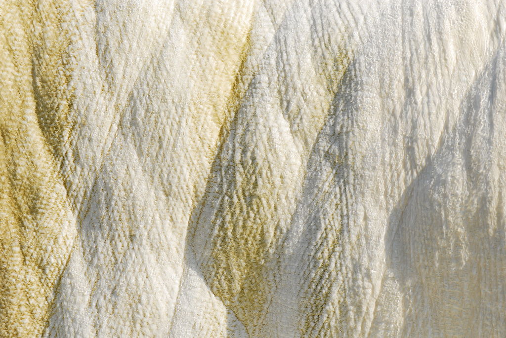 _DSC0046.JPG _DSC0046.JPG