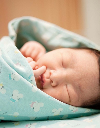新生兒寶寶托嬰中心快樂森林