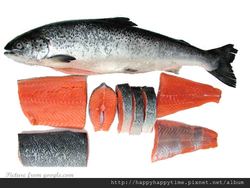 Salmon-fish