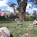 Nairobi (13).jpg