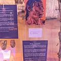 Nairobi National Museum (11).JPG