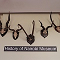 Nairobi National Museum (35).JPG