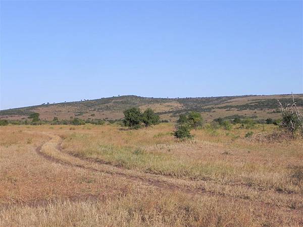 Masai Mara.JPG