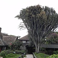 Lake Nakuru Lodge (15).JPG