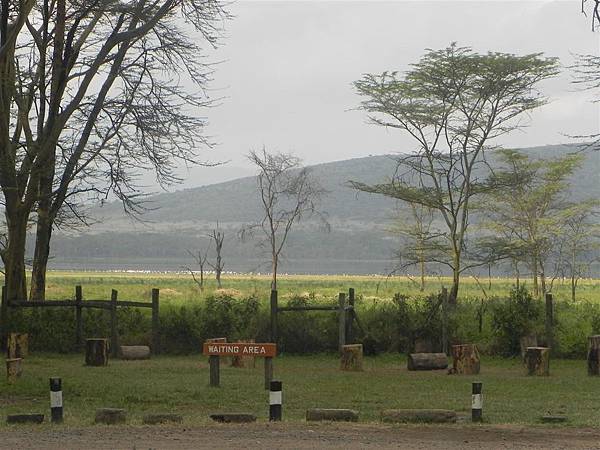 Lake Nakuru National Park.JPG