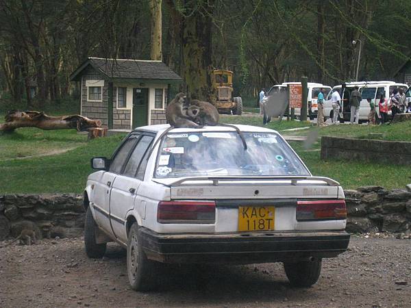 Lake Nakuru National Park (6).jpg