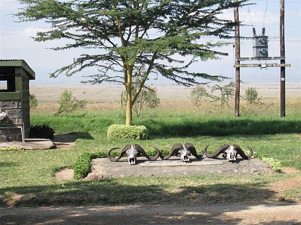 Lake Nakuru National Park (9).jpg