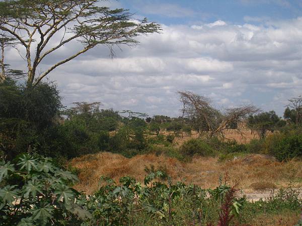 前往Amboseli NP (4).jpg