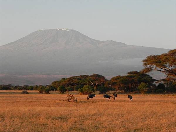 Amboseli NP (2).JPG