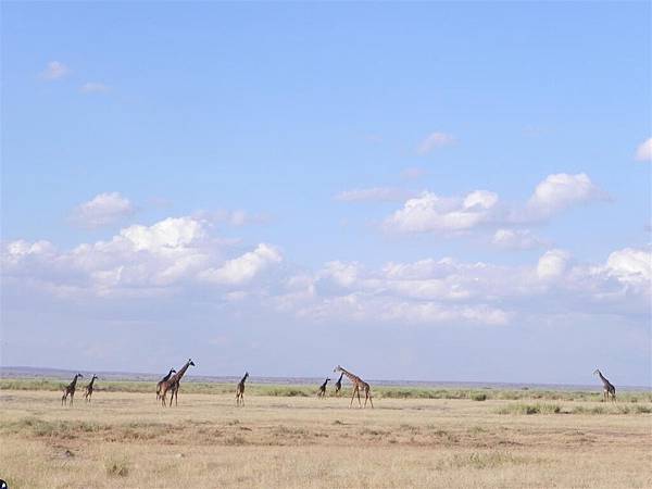 Amboseli NP (14).JPG