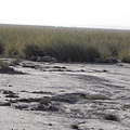 Amboseli NP (16).JPG